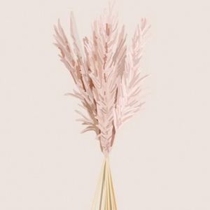 Meet your Posher, Emmy